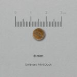 EMINENT MINI_DUCK_krõbin