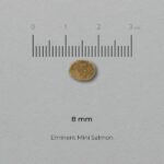 EMINENT MINI_SALMON_krõbin